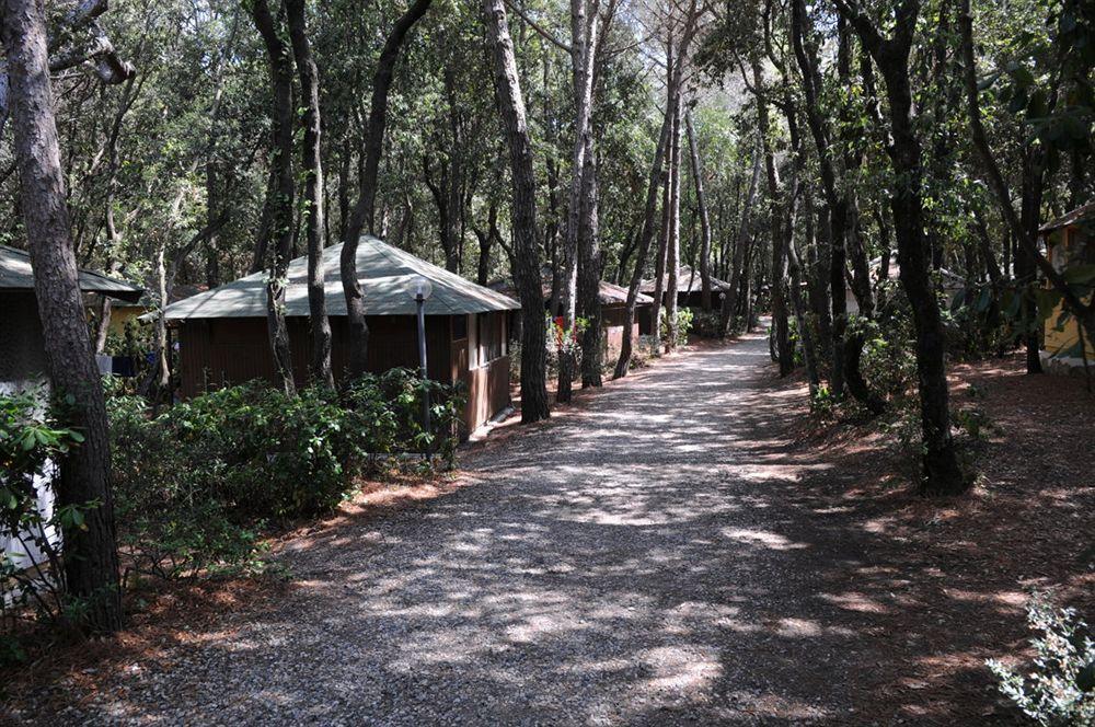 מרינה די צ'צ'ינה Villaggio Club Cecina מראה חיצוני תמונה