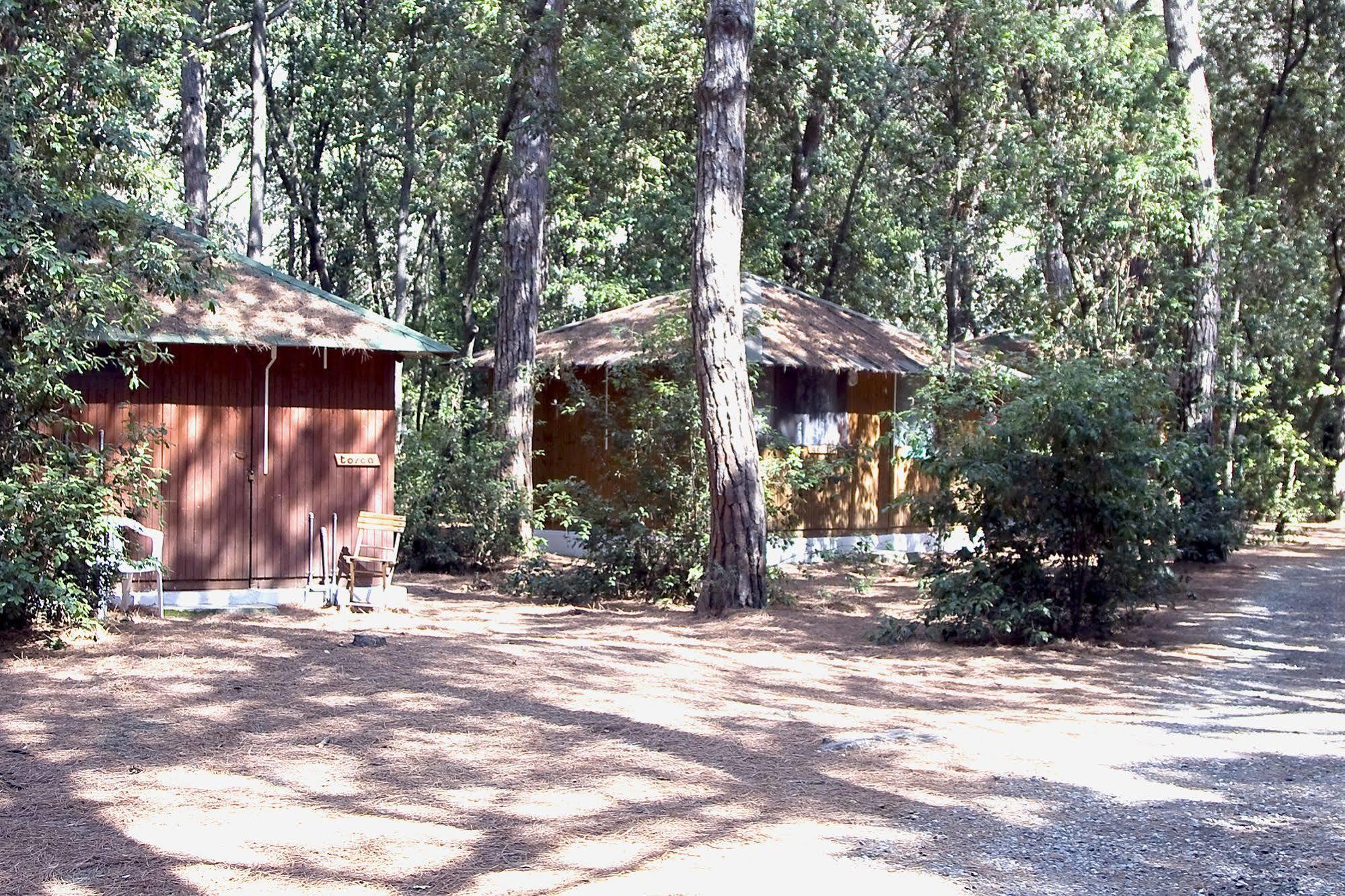 מרינה די צ'צ'ינה Villaggio Club Cecina מראה חיצוני תמונה